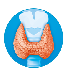 Glanda tiroidă mărită în dimensiuni