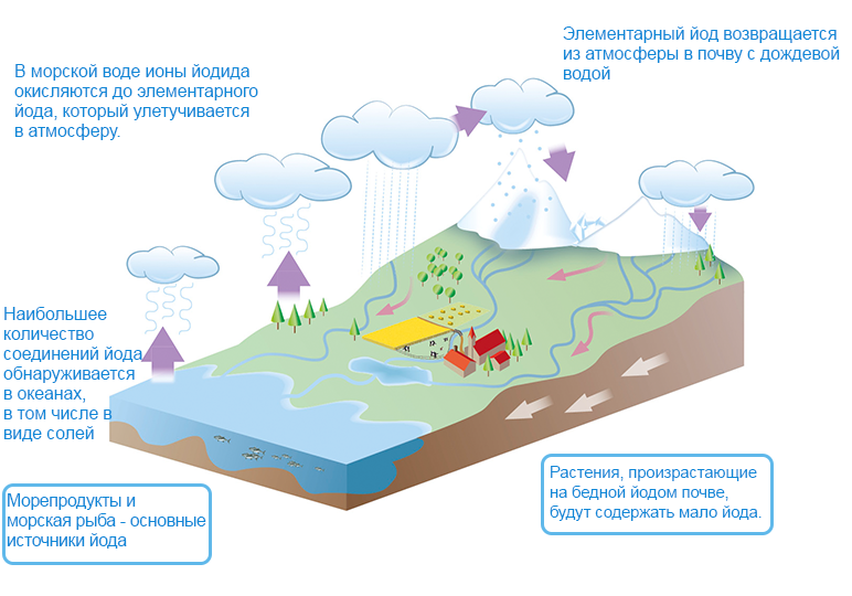 Круговорот йода в природе